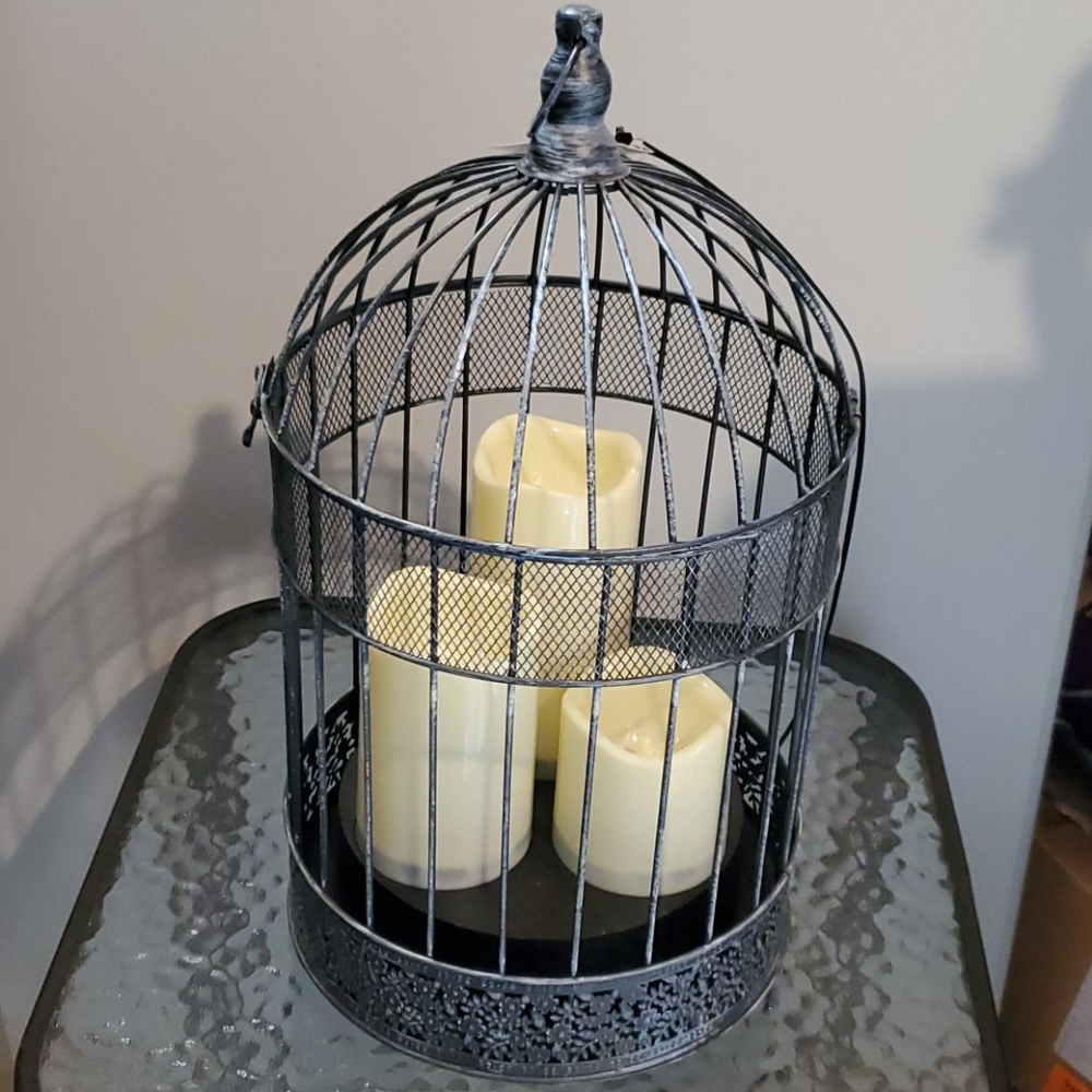Bird cage-decorative